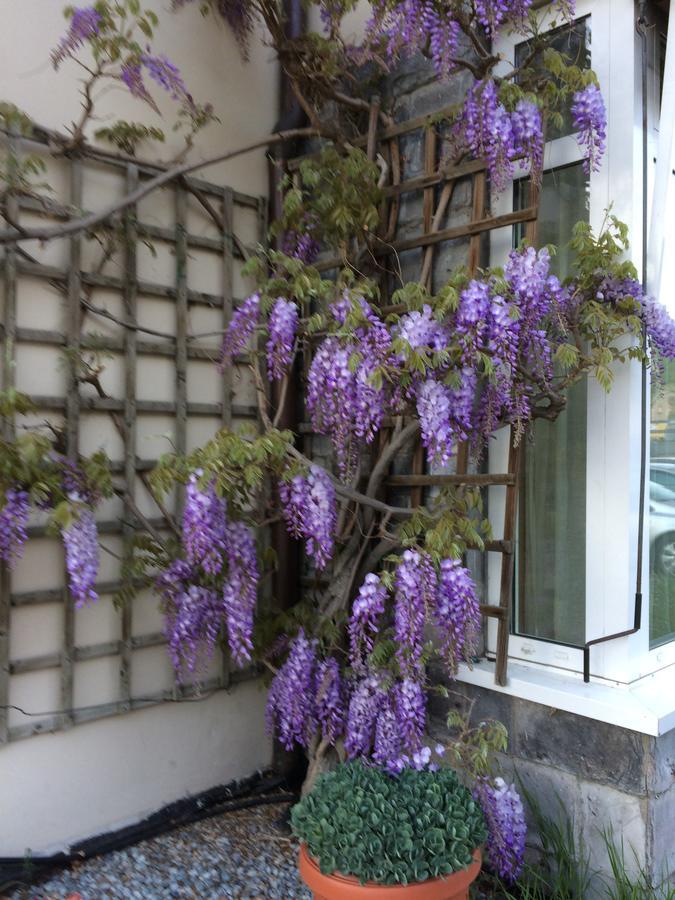 Hotel Vezzano ภายนอก รูปภาพ